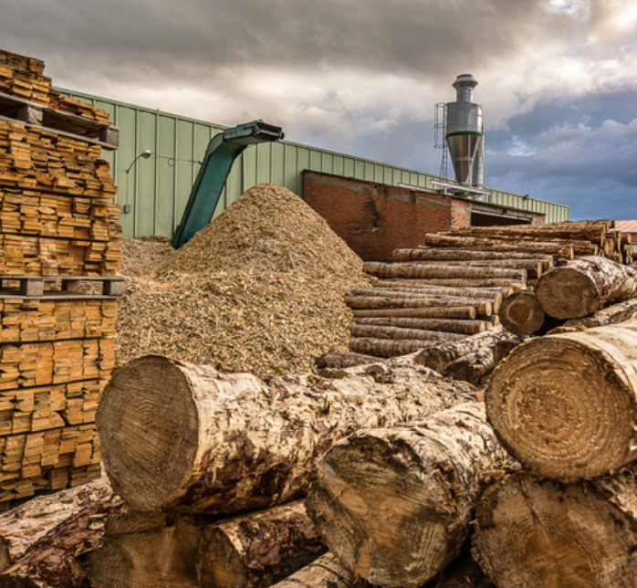 28 octobre 2021 | Motion de soutien à la filière bois adoptée à l’unanimité